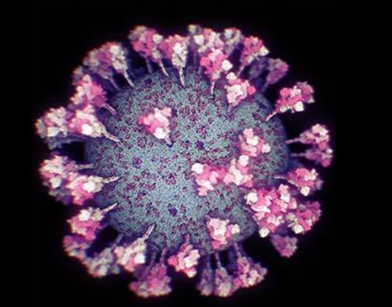 شاهد.. التصور الأكثر دقة وحداثة لفيروس كورونا صورة رقم 2