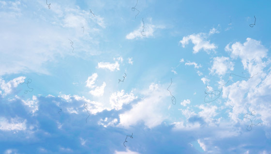 ما هي الأجسام العائمة التي نراها أحيانا ومتى تكون مؤشرا لمشاكل صحية؟ صورة رقم 1