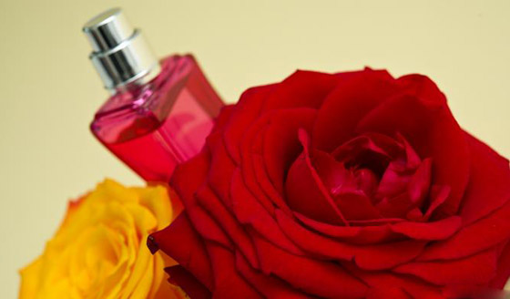 بالصور.. إليكم زيوت طبيعية تغنيكم عن المواد التجميلية والأدوية! صورة رقم 4