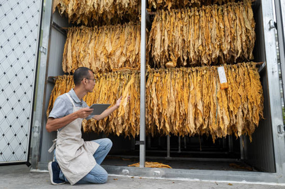 إليكم 10 أدوية وعلاجات خطيرة اعتقد الناس أنها صحية لكنها مضرة! صورة رقم 6