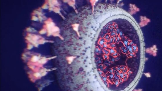 عام واحد منذ بدء الإبلاغ عن 