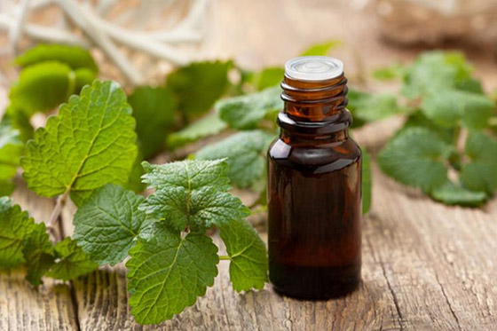 10 زيوت تحسن جودة النوم وتنهي 