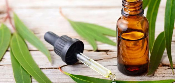 10 زيوت تحسن جودة النوم وتنهي 