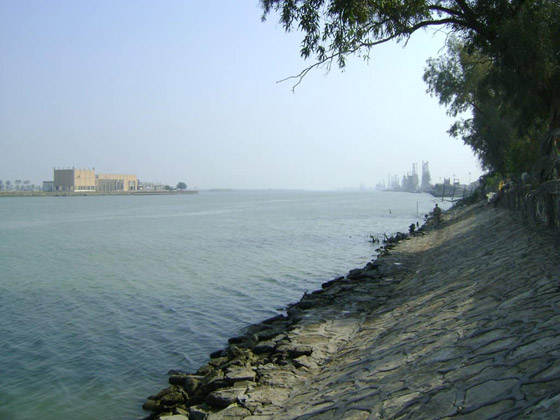    5 -           
