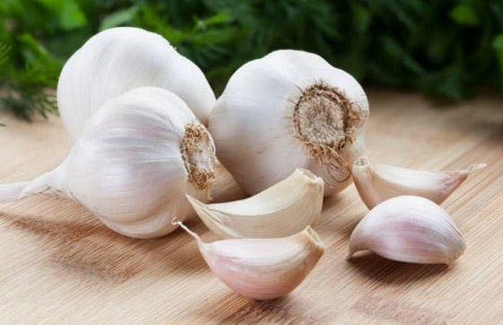 يقي من نزلات البرد ويخفض ضغط الدم.. فوائد الثوم وأفضل طريقة لتناوله صورة رقم 4 يقي من نزلات البرد ويخفض ضغط الدم.. فوائد الثوم وأفضل طريقة لتناوله صورة رقم 4