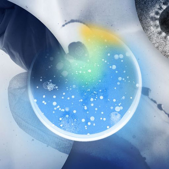 زرع شرائح وتعديل الحمض النووي.. ما صحة الشائعات عن لقاح كورونا؟ صورة رقم 12