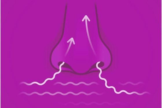 الحساسية الموسمية.. حقائق وخرافات صورة رقم 1