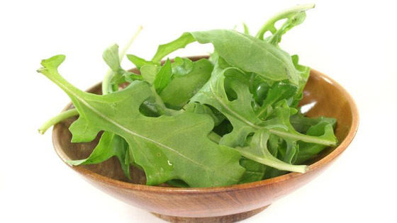 الجرجير الكنز الذي لا تعرفه جيدًا صورة رقم 2