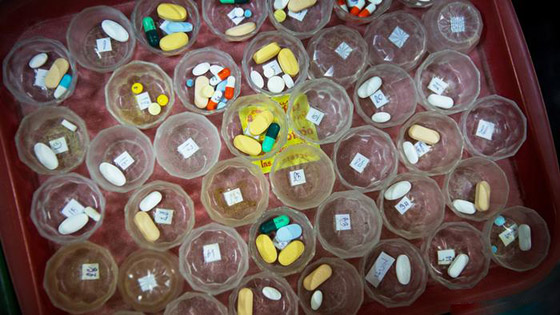 حقائق وأرقام مخيفة عن الإيدز وفيروس نقص المناعة المكتسب! صورة رقم 3