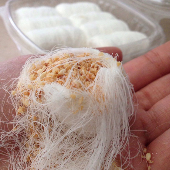 شعر ناعم محشو بالفول السوداني.. إليكم وصفة حلوى خبز التنين الصينية صورة رقم 10 شعر ناعم محشو بالفول السوداني.. إليكم وصفة حلوى خبز التنين الصينية صورة رقم 10