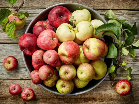 تناول تفاحة في اليوم تغنيك عن زيارة الطبيب.. حقيقة أم خرافة؟ صورة رقم 4 تناول تفاحة في اليوم تغنيك عن زيارة الطبيب.. حقيقة أم خرافة؟ صورة رقم 4