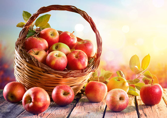 تناول تفاحة في اليوم تغنيك عن زيارة الطبيب.. حقيقة أم خرافة؟ صورة رقم 7 تناول تفاحة في اليوم تغنيك عن زيارة الطبيب.. حقيقة أم خرافة؟ صورة رقم 7