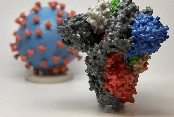 كورونا المتحور.. لماذا القلق من السلالة الجديدة للوباء؟! صورة رقم 1 كورونا المتحور.. لماذا القلق من السلالة الجديدة للوباء؟! صورة رقم 1