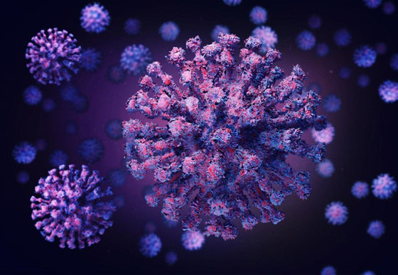 كورونا المتحور.. لماذا القلق من السلالة الجديدة للوباء؟! صورة رقم 3 كورونا المتحور.. لماذا القلق من السلالة الجديدة للوباء؟! صورة رقم 3