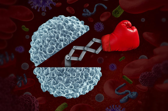 هل ينقل المتعافي من كورونا المرض؟ وأيهما أفضل مناعة الجسم أو اللقاح؟ صورة رقم 5