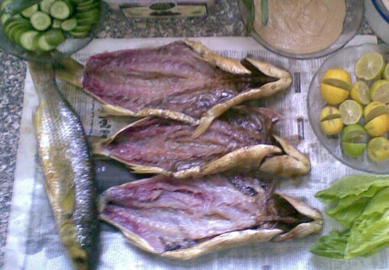 حلوى من مثانة الأسماك وفئران محشية.. إليكم أغرب الأطعمة الموجودة بالعالم صورة رقم 1 حلوى من مثانة الأسماك وفئران محشية.. إليكم أغرب الأطعمة الموجودة بالعالم صورة رقم 1