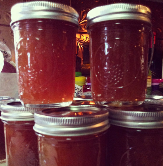 حلوى من مثانة الأسماك وفئران محشية.. إليكم أغرب الأطعمة الموجودة بالعالم صورة رقم 3 حلوى من مثانة الأسماك وفئران محشية.. إليكم أغرب الأطعمة الموجودة بالعالم صورة رقم 3