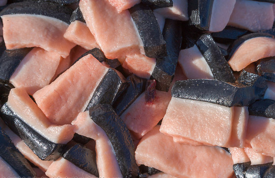 حلوى من مثانة الأسماك وفئران محشية.. إليكم أغرب الأطعمة الموجودة بالعالم صورة رقم 4 حلوى من مثانة الأسماك وفئران محشية.. إليكم أغرب الأطعمة الموجودة بالعالم صورة رقم 4