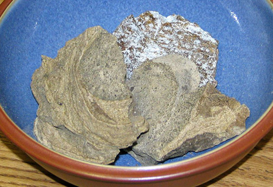 حلوى من مثانة الأسماك وفئران محشية.. إليكم أغرب الأطعمة الموجودة بالعالم صورة رقم 11 حلوى من مثانة الأسماك وفئران محشية.. إليكم أغرب الأطعمة الموجودة بالعالم صورة رقم 11