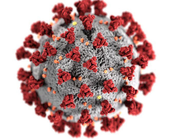 سلالة كورونا الجديدة: كيف تحدث الطفرات في الفيروسات ولماذا؟ صورة رقم 6