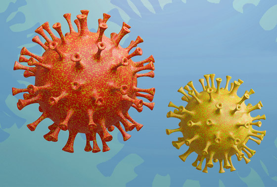 سلالة كورونا الجديدة: كيف تحدث الطفرات في الفيروسات ولماذا؟ صورة رقم 5