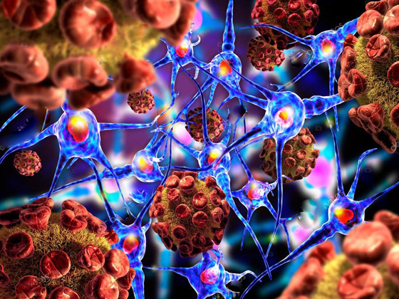 سلالة كورونا الجديدة: كيف تحدث الطفرات في الفيروسات ولماذا؟ صورة رقم 4