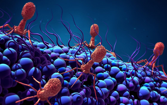 مكتشف مرض إيبولا يحذر العالم: أوبئة المستقبل ستكون كارثية أشد فتكا! صورة رقم 6 مكتشف مرض إيبولا يحذر العالم: أوبئة المستقبل ستكون كارثية أشد فتكا! صورة رقم 6