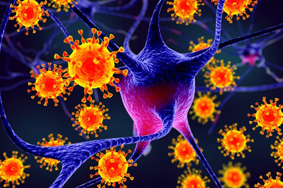 مكتشف مرض إيبولا يحذر العالم: أوبئة المستقبل ستكون كارثية أشد فتكا! صورة رقم 7 مكتشف مرض إيبولا يحذر العالم: أوبئة المستقبل ستكون كارثية أشد فتكا! صورة رقم 7