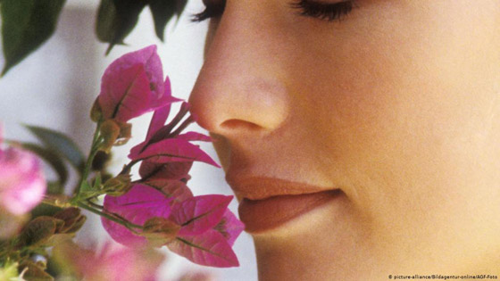 علماء يحددون متى يستعيد الإنسان حاسة الشم بعد كوفيد-19 صورة رقم 4