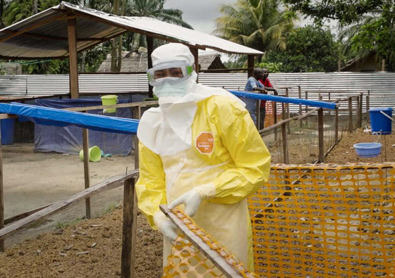 المرض إكس: التحذير من عدوى جديدة قاتلة أسرع انتشارا وأكثر فتكا من كورونا صورة رقم 5