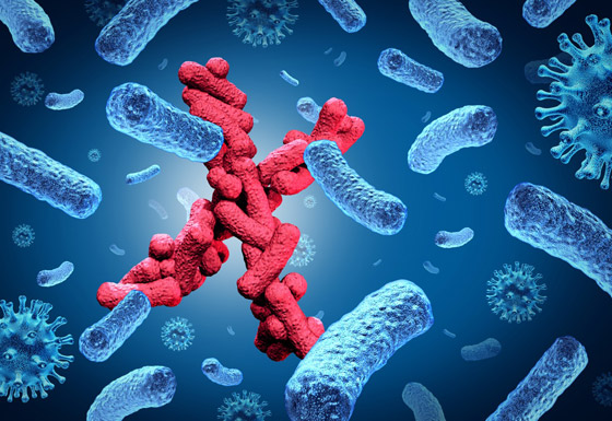 المرض إكس: التحذير من عدوى جديدة قاتلة أسرع انتشارا وأكثر فتكا من كورونا صورة رقم 1