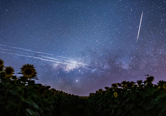 صورة رقم 2 - تعرفوا إلى أغرب الأشياء المثيرة للاهتمام التي سقطت من السماء صورة رقم 2 - تعرفوا إلى أغرب الأشياء المثيرة للاهتمام التي سقطت من السماء