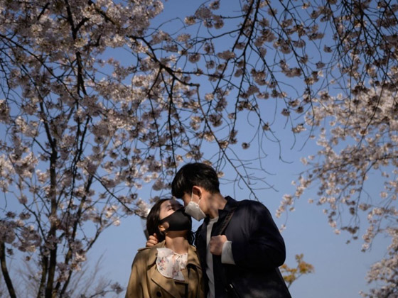 هل يكون الحب هو علاج فيروس كورونا؟ صورة رقم 6 هل يكون الحب هو علاج فيروس كورونا؟ صورة رقم 6