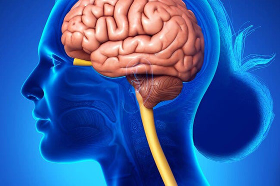 الغناء والضحك والقهقهة ترفع نسبة الأكسجين في الدم صورة رقم 4