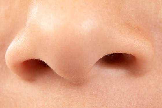 الغناء والضحك والقهقهة ترفع نسبة الأكسجين في الدم صورة رقم 7