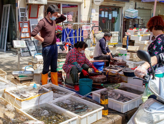 سؤال الساعة بشأن الصين.. ماذا يمنع ظهور وباء جديد أكثر فتكا من كورونا؟ صورة رقم 8