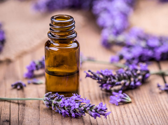 استُخدم منذ آلاف السنين.. ماذا تعرف عن العلاج بالروائح والزيوت العطرية؟ صورة رقم 7