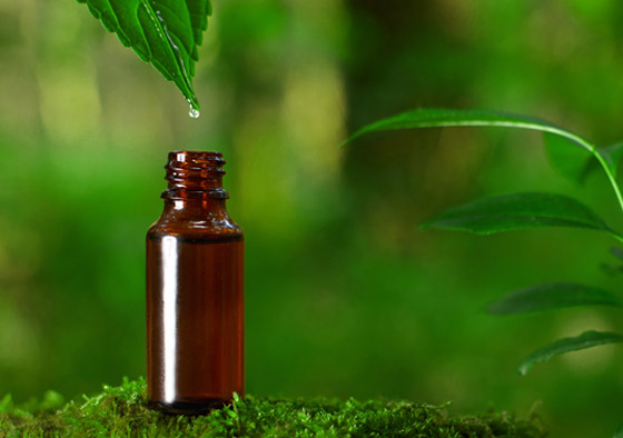 استُخدم منذ آلاف السنين.. ماذا تعرف عن العلاج بالروائح والزيوت العطرية؟ صورة رقم 9