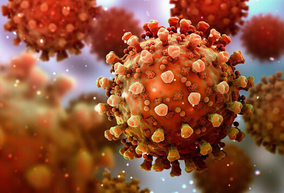 بشرة خير أخيرا.. ثغرة قد تعطّل فيروس كورونا! صورة رقم 5