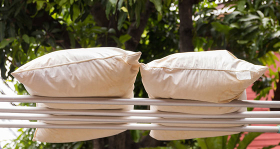 كي لا تصبح موطنا للبكتيريا والزيوت والأوساخ.. كم مرة يجب غسل الوسائد؟ صورة رقم 3