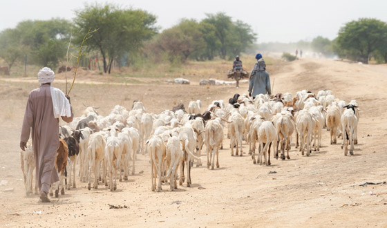 لأنها من الأولويات.. إليكم ما يجب تعلمه من الدول الأكثر صحة في العالم صورة رقم 5