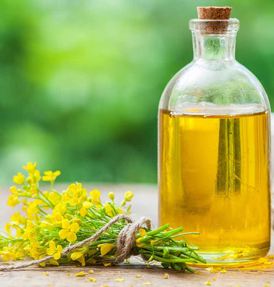 إليكم أكثر 7 زيوت صحية للطهي وأفضل طريقة لاستخدامها عند الطبخ صورة رقم 2