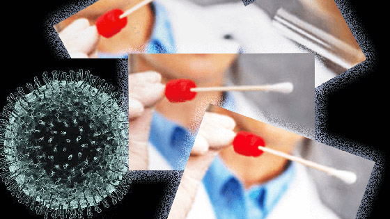 سلالة كورونا المتحورة.. كيف تخدعنا بحاستي الشم والتذوق؟ صورة رقم 8