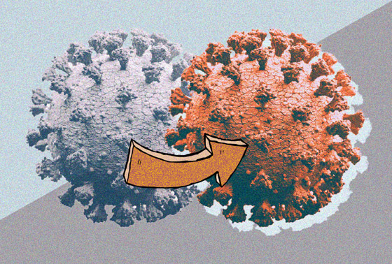 وصول سلالة كورونا القاومة للقاحات.. كورونا القادم من جنوب إفريقيا مقلق! صورة رقم 1 وصول سلالة كورونا القاومة للقاحات.. كورونا القادم من جنوب إفريقيا مقلق! صورة رقم 1