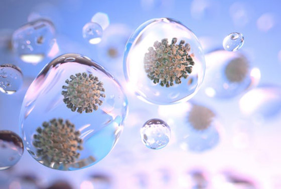 وصول سلالة كورونا القاومة للقاحات.. كورونا القادم من جنوب إفريقيا مقلق! صورة رقم 5 وصول سلالة كورونا القاومة للقاحات.. كورونا القادم من جنوب إفريقيا مقلق! صورة رقم 5