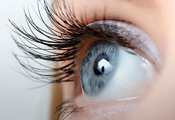 لأنها حساسة وتستطيع كشف الأمراض.. إليكم أهم 5 أطعمة لصحة العينين صورة رقم 3