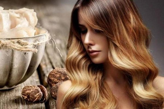 فوائد زبدة الشيا الجمالية للشعر صورة رقم 2