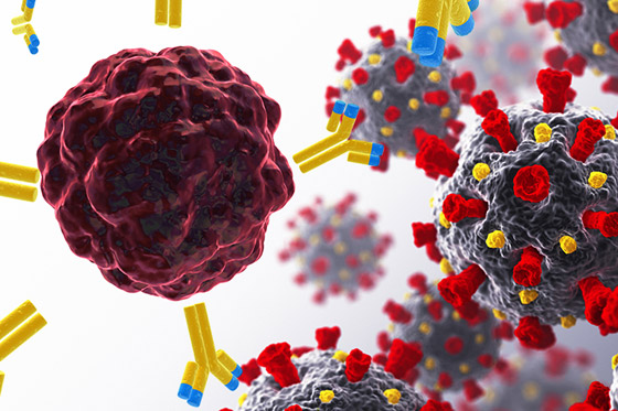 في اليوم العالمي للسرطان.. ما أسبابه وكيف تحمي نفسك من المرض القاتل؟ صورة رقم 9