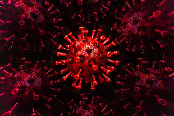 تحذير: الإصابة مرتين بفيروس كورونا أكثر شيوعا مما نتخيل! صورة رقم 3 تحذير: الإصابة مرتين بفيروس كورونا أكثر شيوعا مما نتخيل! صورة رقم 3