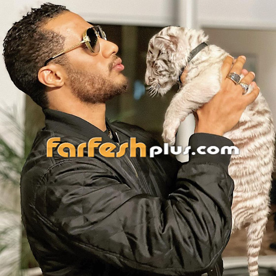 صورة رقم 19 - محمد رمضان مهدد بعقوبة 25 مليون جنيه والمحكمة تستدعيه لسماع أقواله صورة رقم 19 - محمد رمضان مهدد بعقوبة 25 مليون جنيه والمحكمة تستدعيه لسماع أقواله